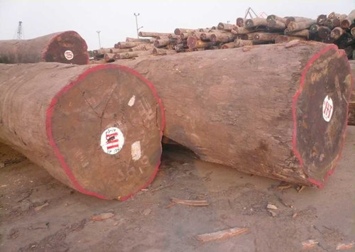 1635471878972839.jpg 777555ab1623acdd7d0a258ec84582a6_1-160Q6154Z4233.jpg