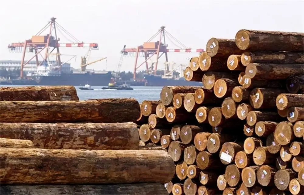 【木材进口清关案例】木材进口清关案例分享